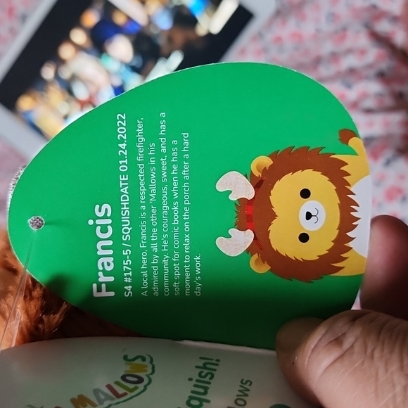 Brand new Squishmallows Francis the Holiday Lion pillow - Picture 9 of 9